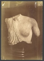 Fragment of a female statue with naked breast (amazon?)