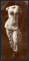 Female torso (Venus)